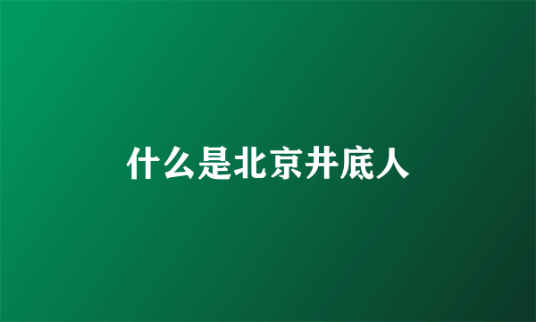 什么是北京井底人