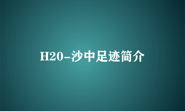 H20-沙中足迹简介
