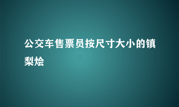 公交车售票员按尺寸大小的镇梨烩