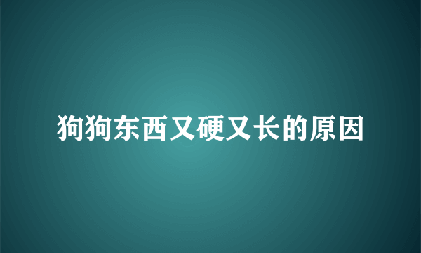 狗狗东西又硬又长的原因