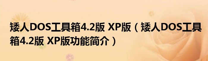 矮人DOS工具箱42版XP版矮人DOS工具箱42版XP版功能简介