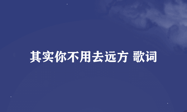 其实你不用去远方 歌词