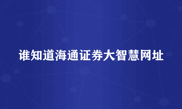 谁知道海通证券大智慧网址
