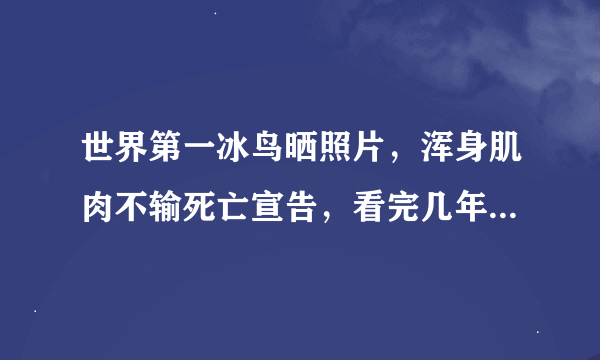 世界第一冰鸟晒照片，浑身肌肉不输死亡宣告，看完几年前照片直呼不可能