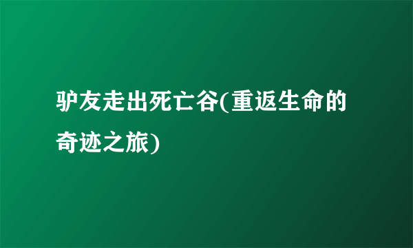 驴友走出死亡谷(重返生命的奇迹之旅)