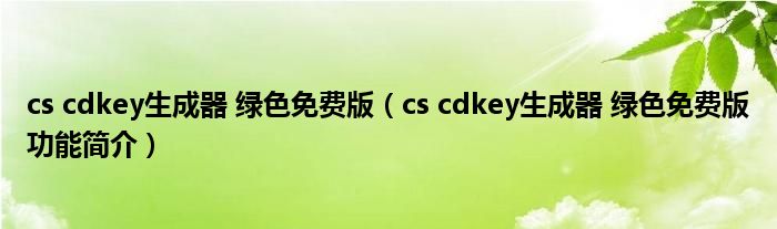 cscdkey生成器绿色免费版cscdkey生成器绿色免费版功能简介