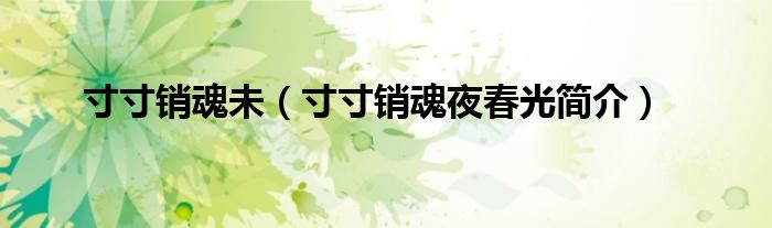 寸寸销魂未寸寸销魂夜春光简介