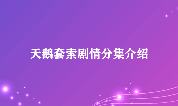 天鹅套索剧情分集介绍
