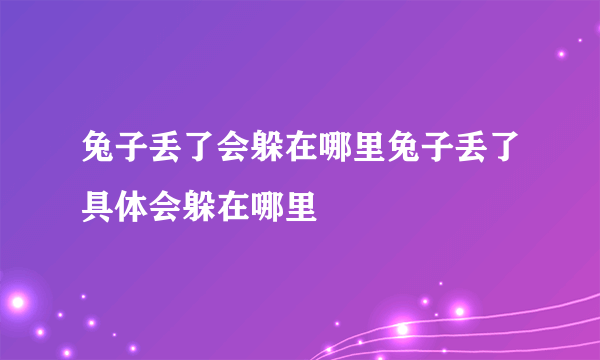 兔子丢了会躲在哪里兔子丢了具体会躲在哪里