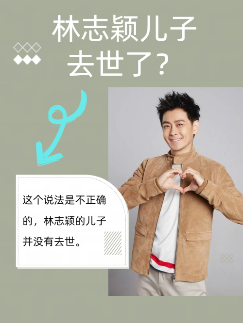 林志颖儿子去世了