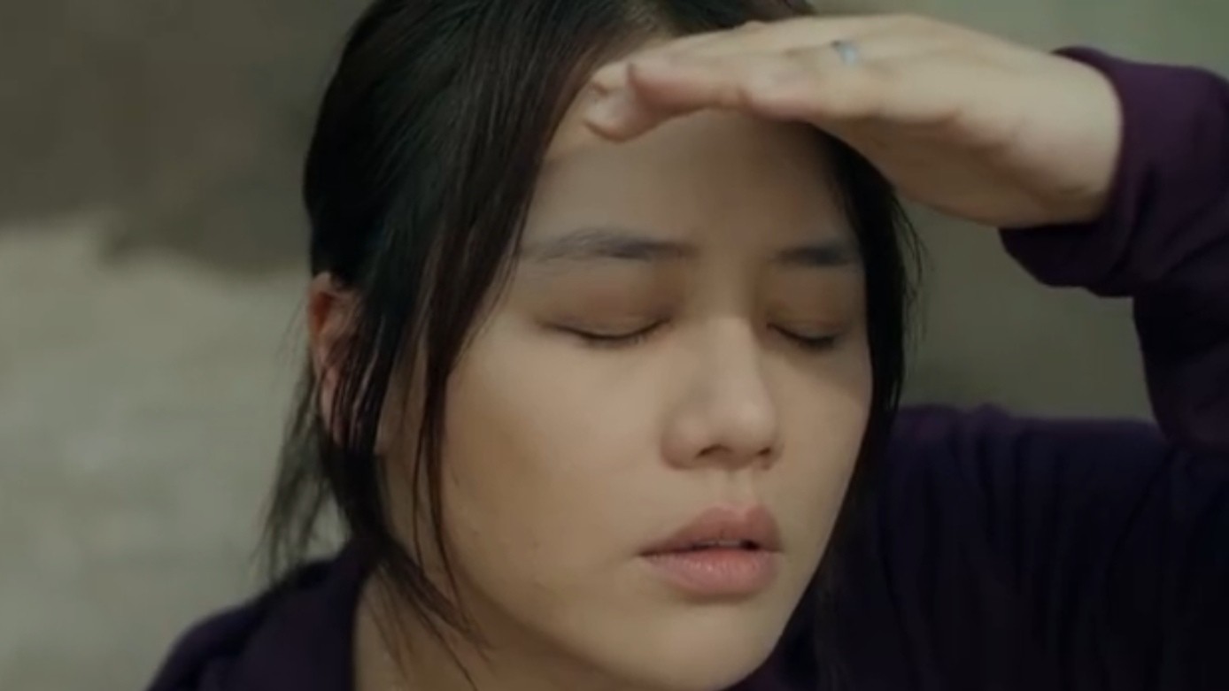 江照黎明一共多少集