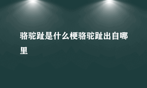 骆驼趾是什么梗骆驼趾出自哪里