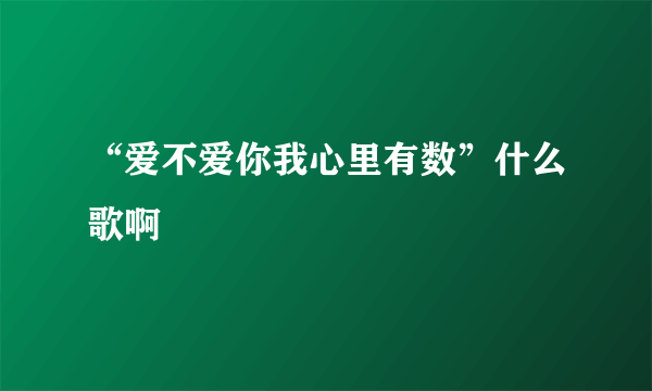 “爱不爱你我心里有数”什么歌啊