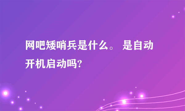 网吧矮哨兵是什么。 是自动开机启动吗?