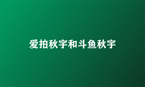 爱拍秋宇和斗鱼秋宇