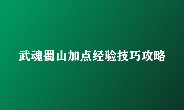武魂蜀山加点经验技巧攻略