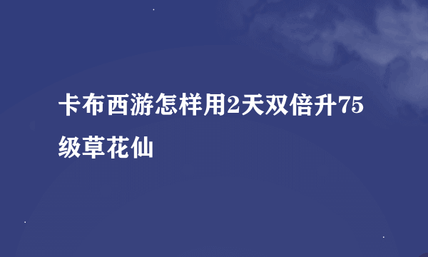 卡布西游怎样用2天双倍升75级草花仙
