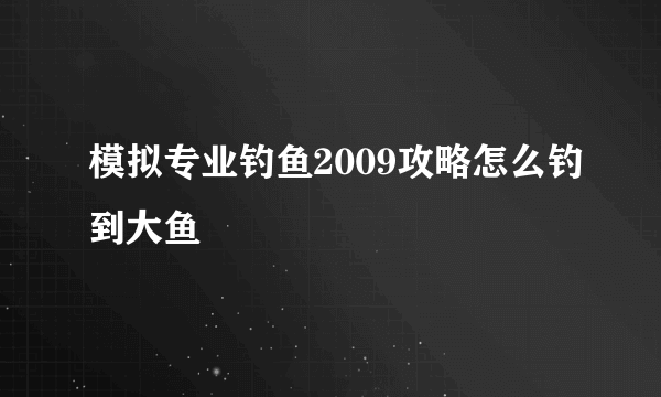 模拟专业钓鱼2009攻略怎么钓到大鱼