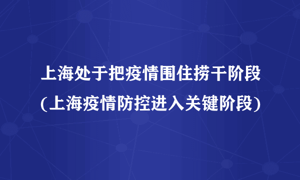 上海处于把疫情围住捞干阶段(上海疫情防控进入关键阶段)