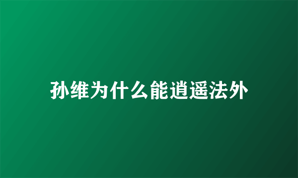孙维为什么能逍遥法外