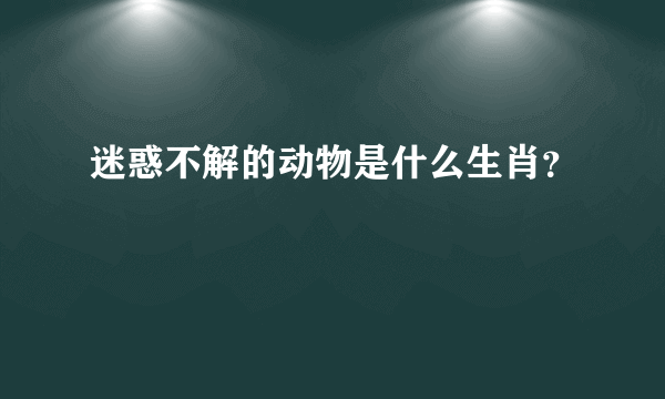 迷惑不解的动物是什么生肖？