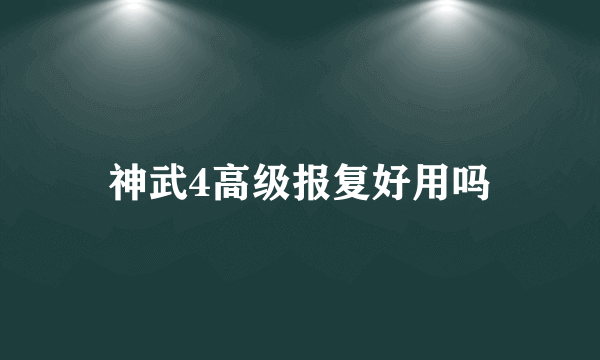 神武4高级报复好用吗