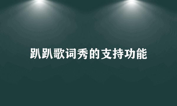 趴趴歌词秀的支持功能