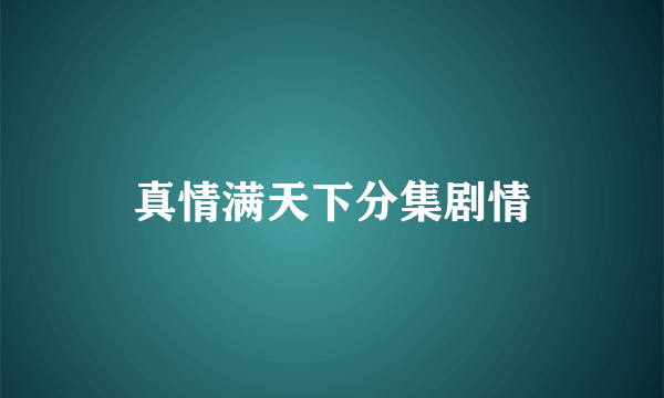 真情满天下分集剧情