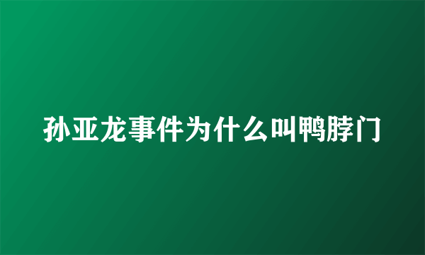 孙亚龙事件为什么叫鸭脖门