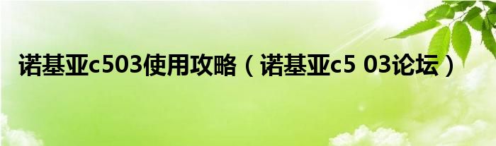 诺基亚c503使用攻略诺基亚c503论坛
