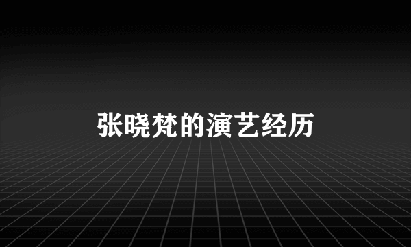 张晓梵的演艺经历