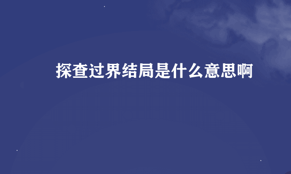 囧探查过界结局是什么意思啊