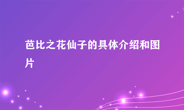 芭比之花仙子的具体介绍和图片