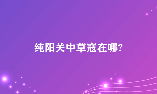 纯阳关中草寇在哪?
