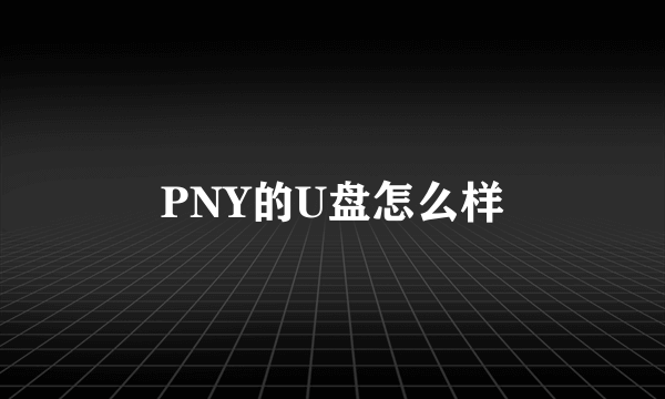 PNY的U盘怎么样