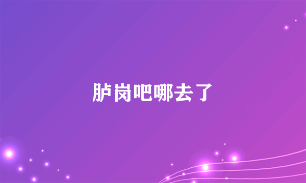 胪岗吧哪去了