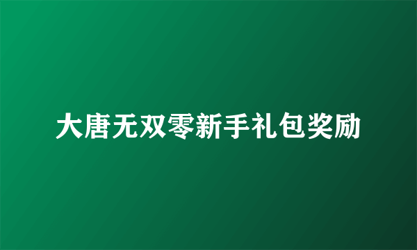 大唐无双零新手礼包奖励