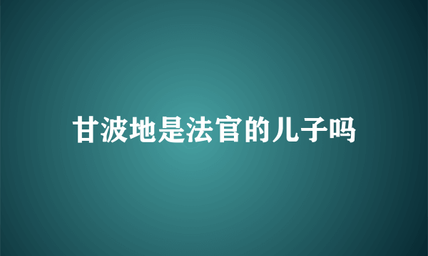 甘波地是法官的儿子吗