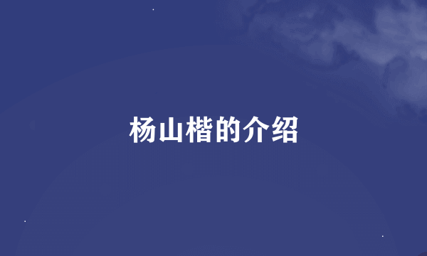 杨山楷的介绍