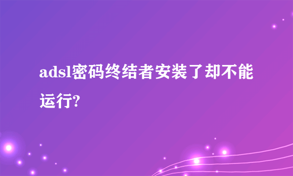 adsl密码终结者安装了却不能运行?