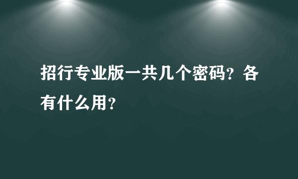 招行专业版一共几个密码？各有什么用？