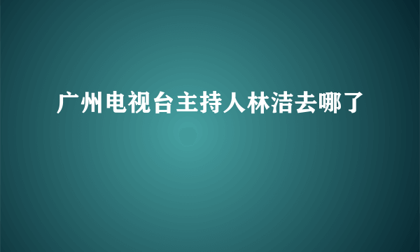 广州电视台主持人林洁去哪了
