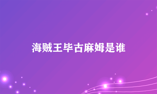 海贼王毕古麻姆是谁