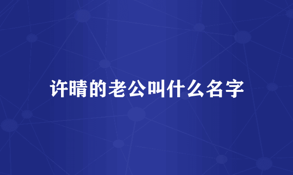 许晴的老公叫什么名字