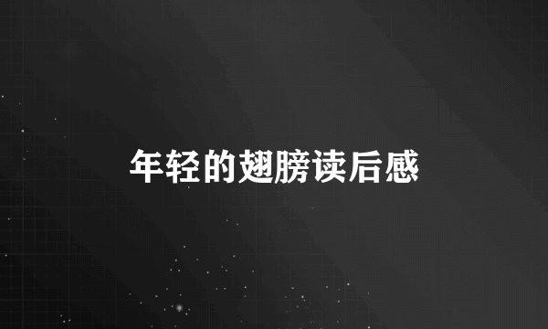 年轻的翅膀读后感