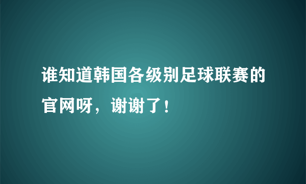 谁知道韩国各级别足球联赛的官网呀，谢谢了！