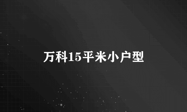 万科15平米小户型