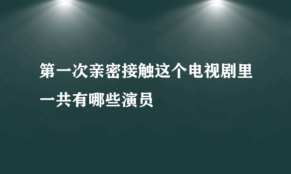 第一次亲密接触这个电视剧里一共有哪些演员