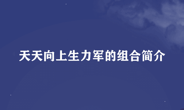 天天向上生力军的组合简介
