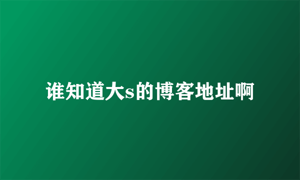 谁知道大s的博客地址啊